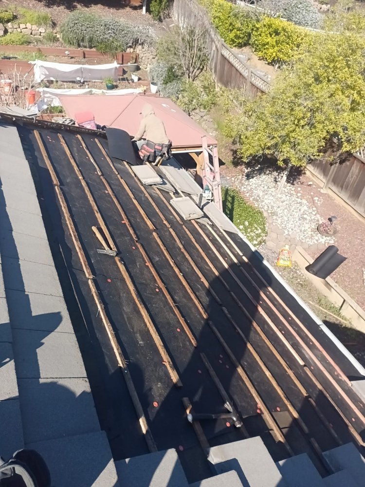 Slide of Emilio’s Painted