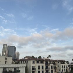 Roman Shersher - Parkway Estate Properties - Best views!