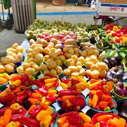 Bradenton Farmer's Market