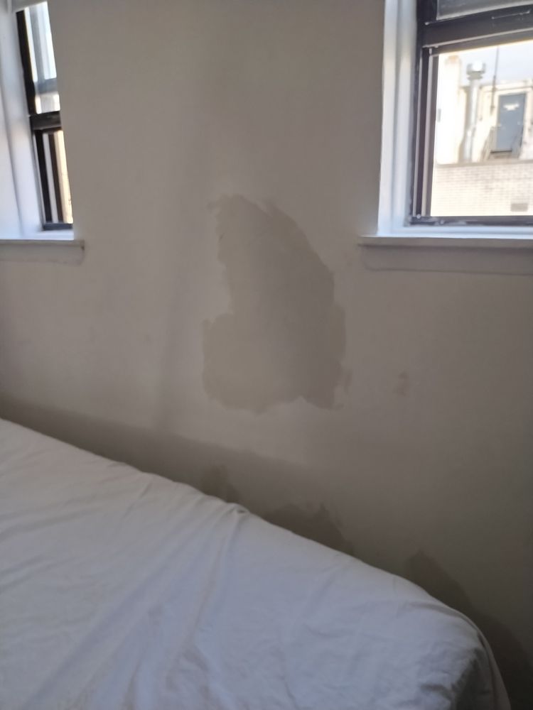 Slide of Scrappy's Magic Touch