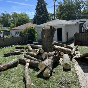 Huber Tree Expert - Tree Services Near Me - Berwyn, Illinois