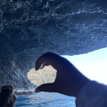 Kauai Sea Tours - Cave adventures. NāPali rafting adventure tour - Boating Near Me - Eleele, Hawaii