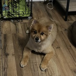 Bubbles & Bones - Jax