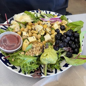Zambra Fusion Cafe - Double Berry Salad - Asian Fusion Near Me - Corpus Christi, Texas