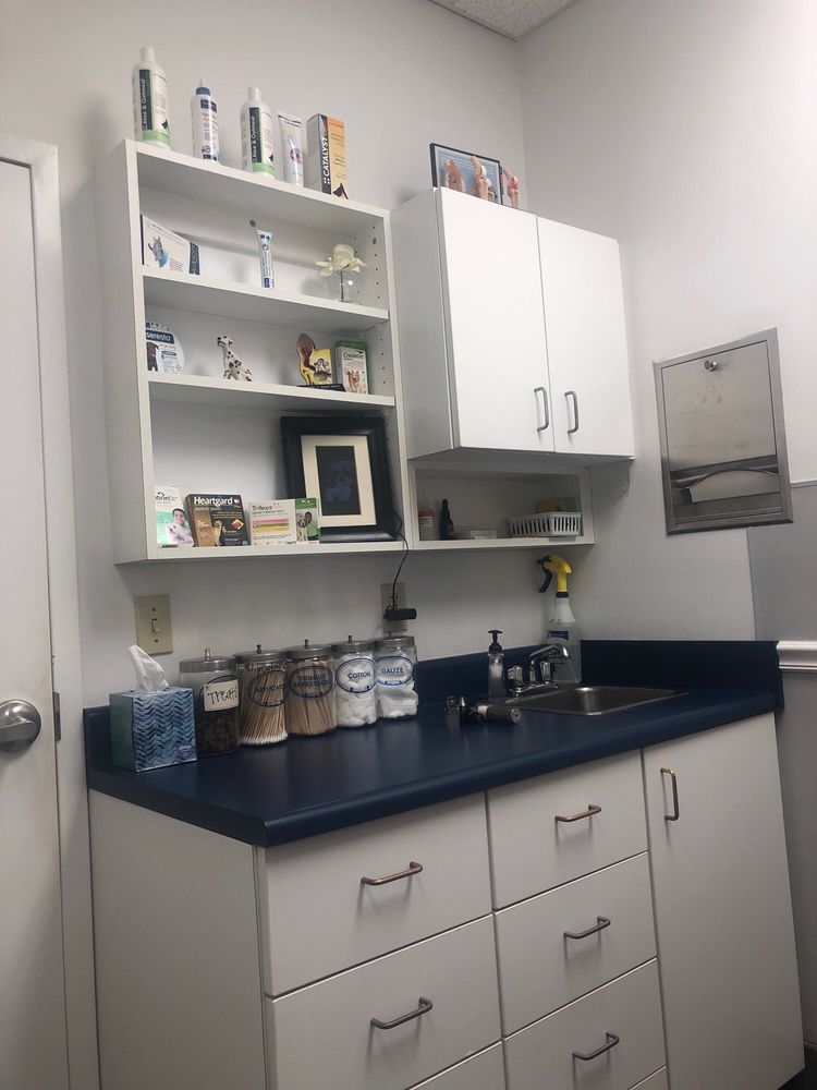 EAST BRAINERD ANIMAL HOSPITAL Updated September 2024 8488 E