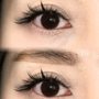 7 O'Clock Lash & Brows