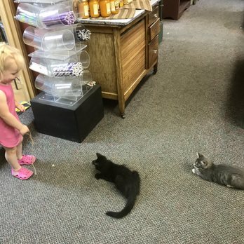 Smallwood's Harvest - The store kittens... Kate and Alice - Amusement Parks Near Me - Peshastin, Washington Smallwood's Harvest - The store kittens... Kate and Alice - Amusement Parks Near Me - Peshastin, Washington