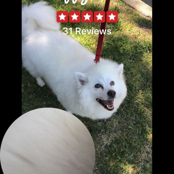 Puppy Cutz - Pet Groomers Near Me - San Jose, California
