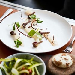 Gastroteket