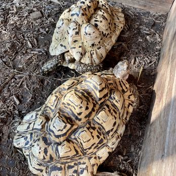 Coastal Creature Care - Pet Boarding Near Me - Ocean View, New Jersey
