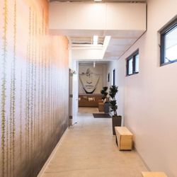 Asteya Collective