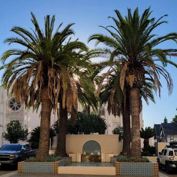 The Westin Pasadena - Hotels Near Me - Pasadena, California The Westin Pasadena - Hotels Near Me - Pasadena, California