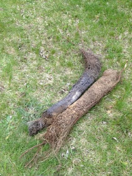 Slide of Michigan Supreme Plumbing & Drain Cleaning