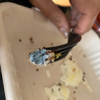 Chicago Waffles - Order at your own risk - Just ordered the Tri Color Quinoa Skillet and found a big nugget of mold in the quinoa. - Breakfast & Brunch Near Me - Chicago, Illinois