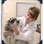 Photo of Brentwood Veterinary Center