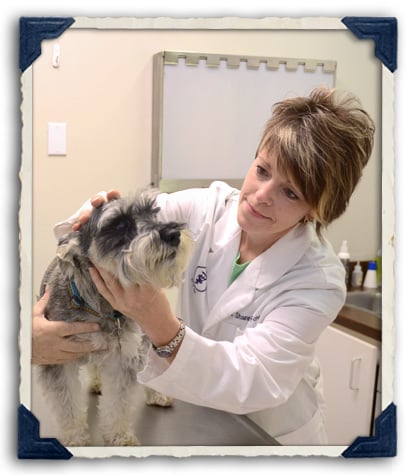 Brentwood Veterinary Center Image