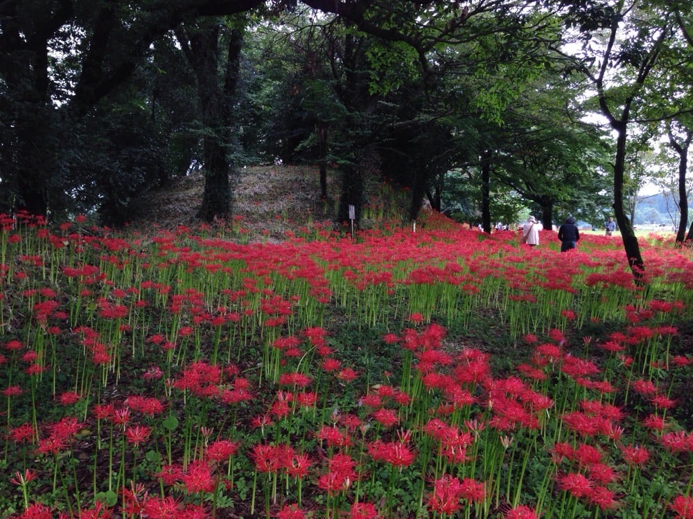 Nanatsumori Kofungun Parks 竹田市菅生 竹田市 大分県 Japan Yelp