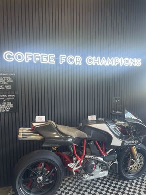 Midnight Animal Coffee by null