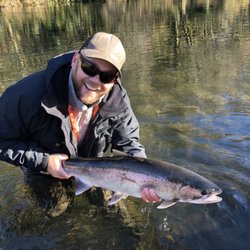 Angler's Pursuit Guide Service - Beautiful wild winter steelhead on the Nestucca River.