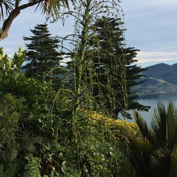 Larnach Castle - A corner of the garden - Landmarks & Historical Buildings Near Me - Dunedin, OTA