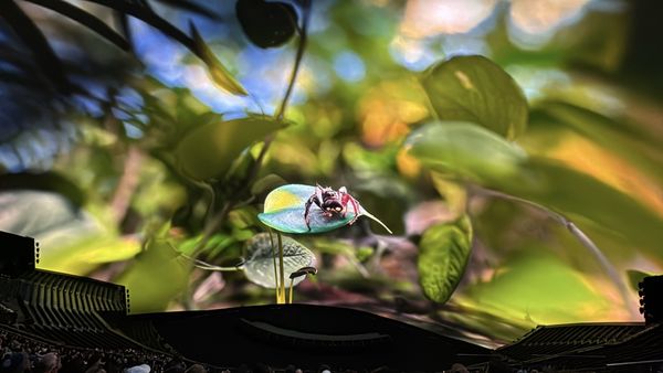 Sphere by null