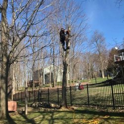 True Blue Tree Service