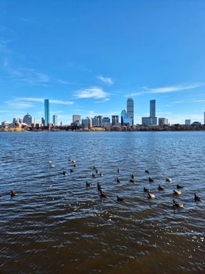 Charles River Esplanade by null
