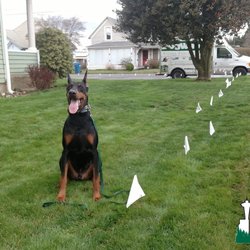 gateway pet cremation seattle