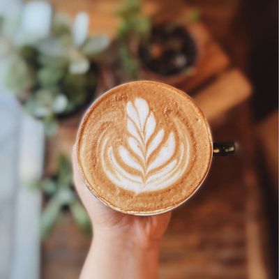 The Coffee Bar by null