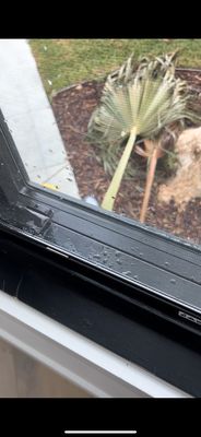 Windows N' Things by null