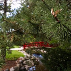 Japanese Cultural Center, Tea House, and Gardens of Saginaw