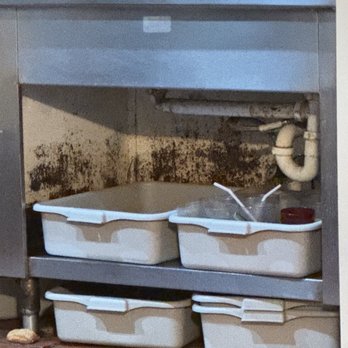 Two Guys From Italy - Mold under sink where they keep salad a the dressing - Pizza Near Me - Dallas, Texas Two Guys From Italy - Mold under sink where they keep salad a the dressing - Pizza Near Me - Dallas, Texas