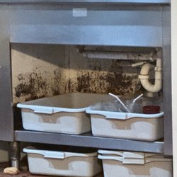 Two Guys From Italy - Mold under sink where they keep salad a the dressing