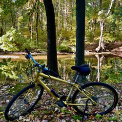 Bustleton Bikes  - My iZip