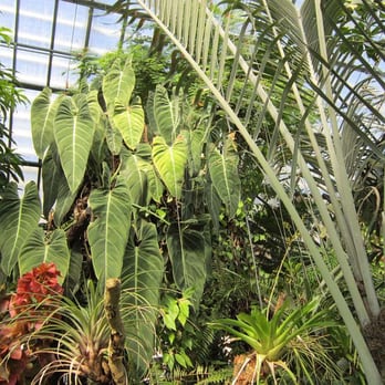 Botanischer Garten - Zoos Near Me - Innsbruck, 7 Botanischer Garten - Zoos Near Me - Innsbruck, 7