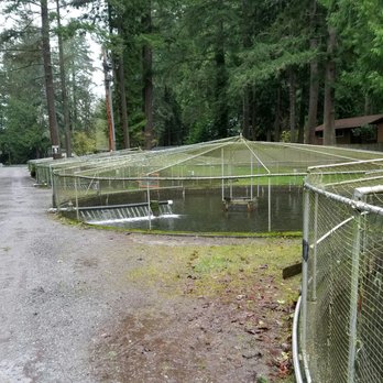 Whatcom Falls Park - The rainbow trout hatchery. - Dog Parks Near Me - Bellingham, Washington
