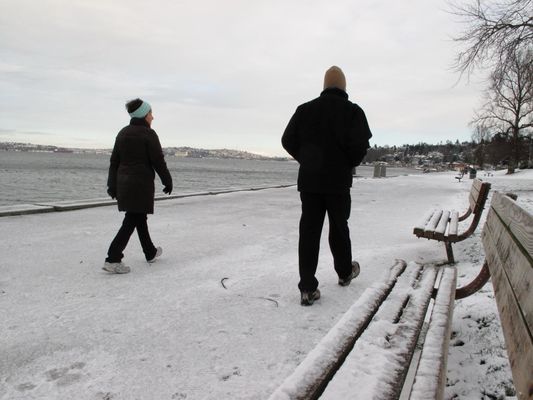 Alki Beach by null