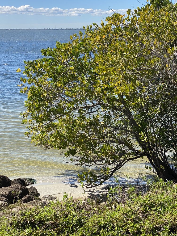 MANATEE SANCTUARY PARK - Updated January 2025 - 154 Photos & 20 Reviews