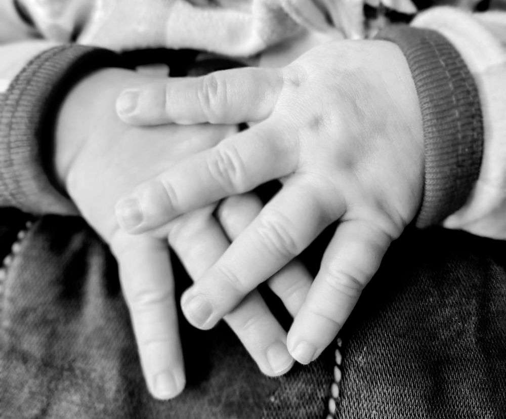 The Growing Tree Childcare Center - childcare center in Portland, ME