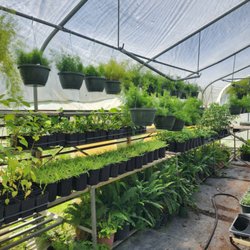 Edgewater Gardens - It's a plant lover's dream!