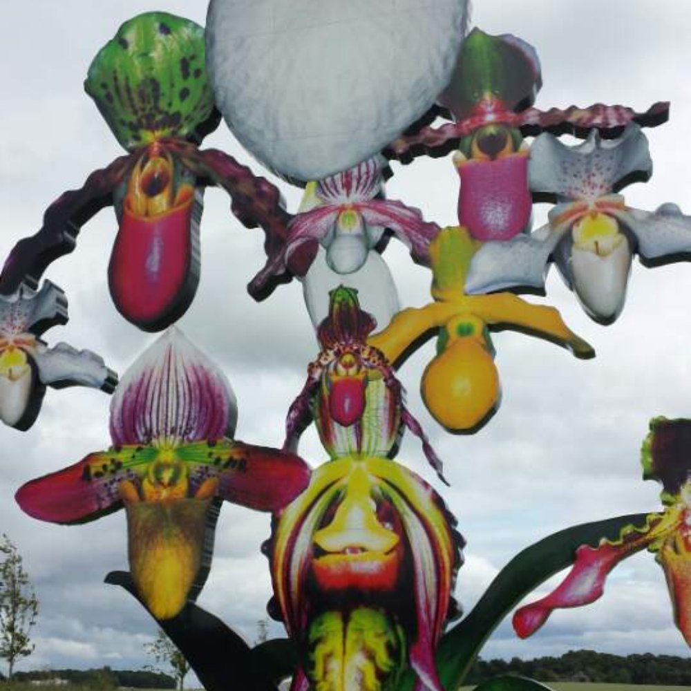 Jupiter Artland - It's an orchid, apparently. - Community Service/Non-Profit Near Me - Wilkieston, WLN