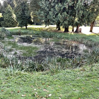 Rupert Park Pitch & Putt - Parks Near Me - Vancouver, British Columbia Rupert Park Pitch & Putt - Parks Near Me - Vancouver, British Columbia