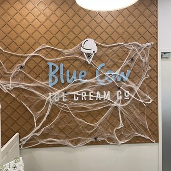 Blue Cow Ice Cream - Ice Cream & Frozen Yogurt Near Me - Fredericksburg, Virginia Blue Cow Ice Cream - Ice Cream & Frozen Yogurt Near Me - Fredericksburg, Virginia
