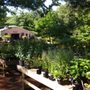 Photo of Hidden Timber Gardens
