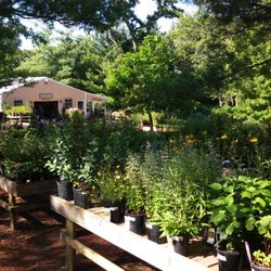 Hidden Timber Gardens
