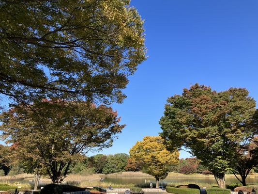 Showa Kinen Park by null