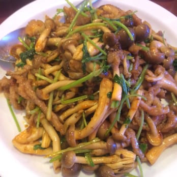 Jun Dynasty - mixed mushrooms - Szechuan Near Me - Tucson, Arizona Jun Dynasty - mixed mushrooms - Szechuan Near Me - Tucson, Arizona