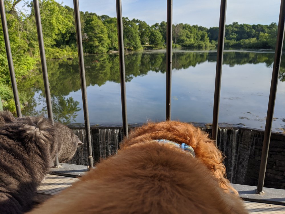 ADDISON MILL APARTMENTS with photos Updated August 2024 14 Photos