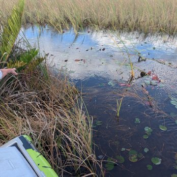 Swamp Monster Airboat Tours - Can you see the baby gator? About a foot long... - Boat Tours Near Me - Pompano, Florida Swamp Monster Airboat Tours - Can you see the baby gator? About a foot long... - Boat Tours Near Me - Pompano, Florida