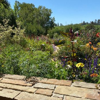 Lynmar Estate Winery - The garden - Wine Tasting Room Near Me - Sebastopol, California Lynmar Estate Winery - The garden - Wine Tasting Room Near Me - Sebastopol, California